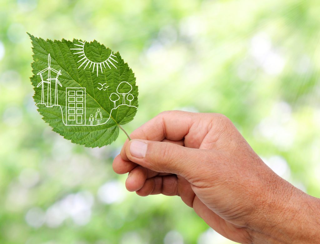hand holding Green city concept, cut the leaves of plants
