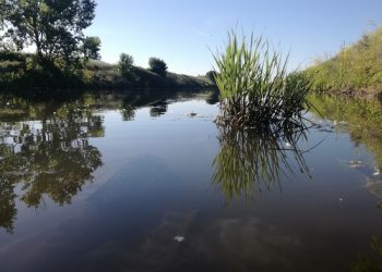 Cavata Linea Pio
