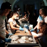 ISTITUTO ITALIANO DI PALEONTOLOGIA UMANA (ISIPU)