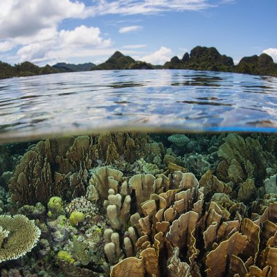 biodiversita
