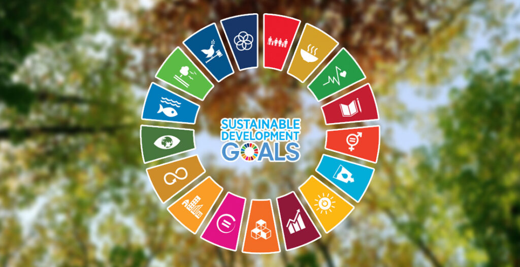 goal agenda 2030 microforesta