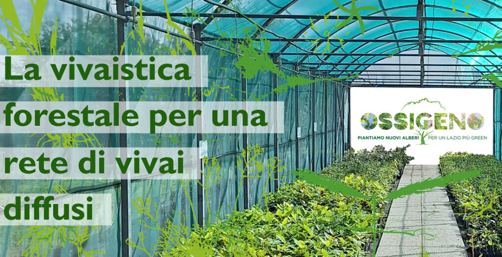Locandina evento "la vivaistica forestale per una rete di vivai diffusi"