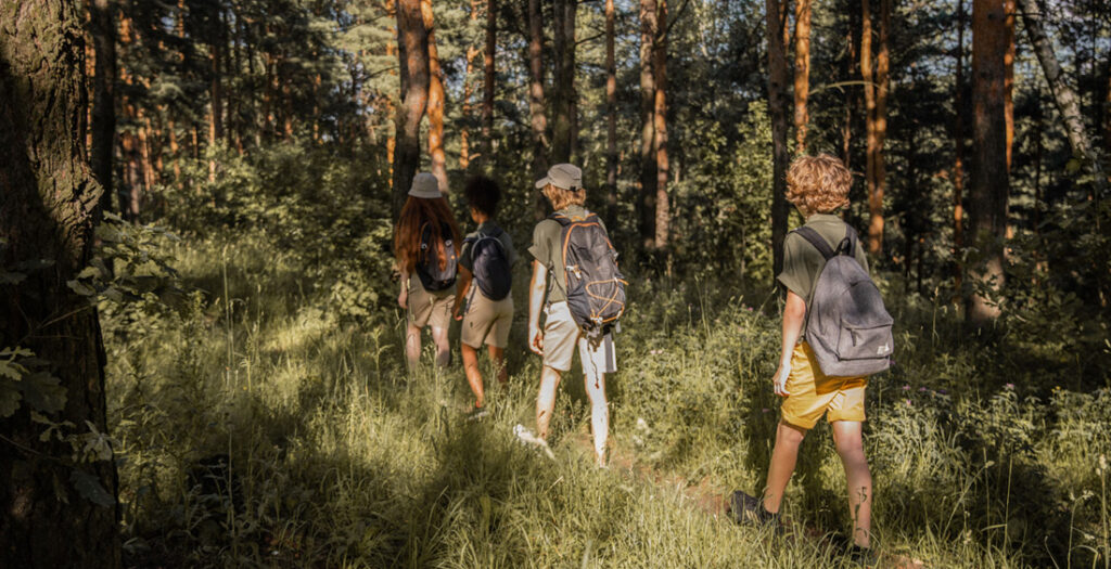 due ragazze e due ragazzi di schiena a spasso in una foresta