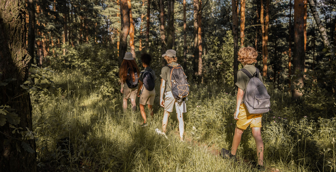 due ragazze e due ragazzi di schiena a spasso in una foresta