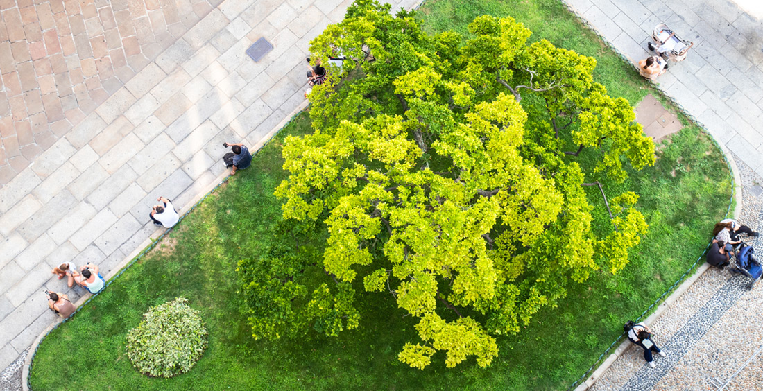 Alcune persone si rilassano vicino ad un piccolo parco cittadino - Foto di magann da Adobe Stock