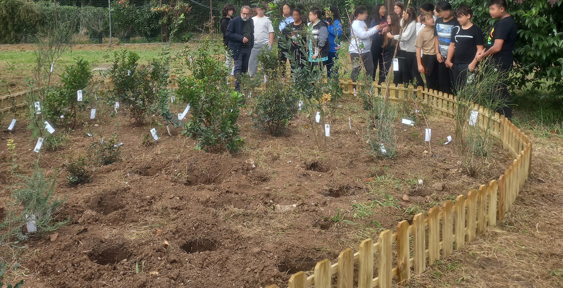 Scolaresca all'inaugurazione della microforesta