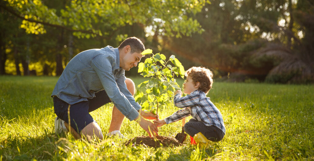 Padre e figlio piantano un albero - Foto di kegfire da Adobe Stock